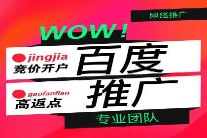 百度竞价代理实战：案例剖析与优化策略