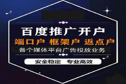 短视频平台上的信息流广告投放效果分析